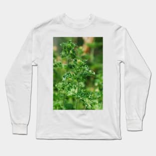 Curly Mint Long Sleeve T-Shirt